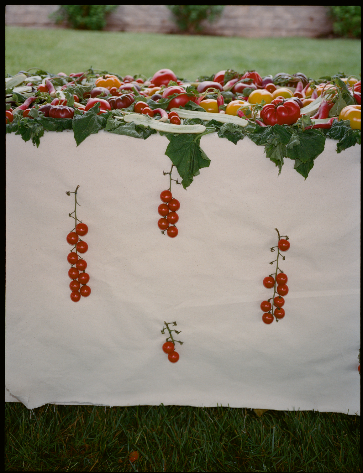 Event photography - chef Ksenia Radkevich 