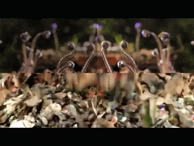 Trash-From-Flowers-Gif (1).gif