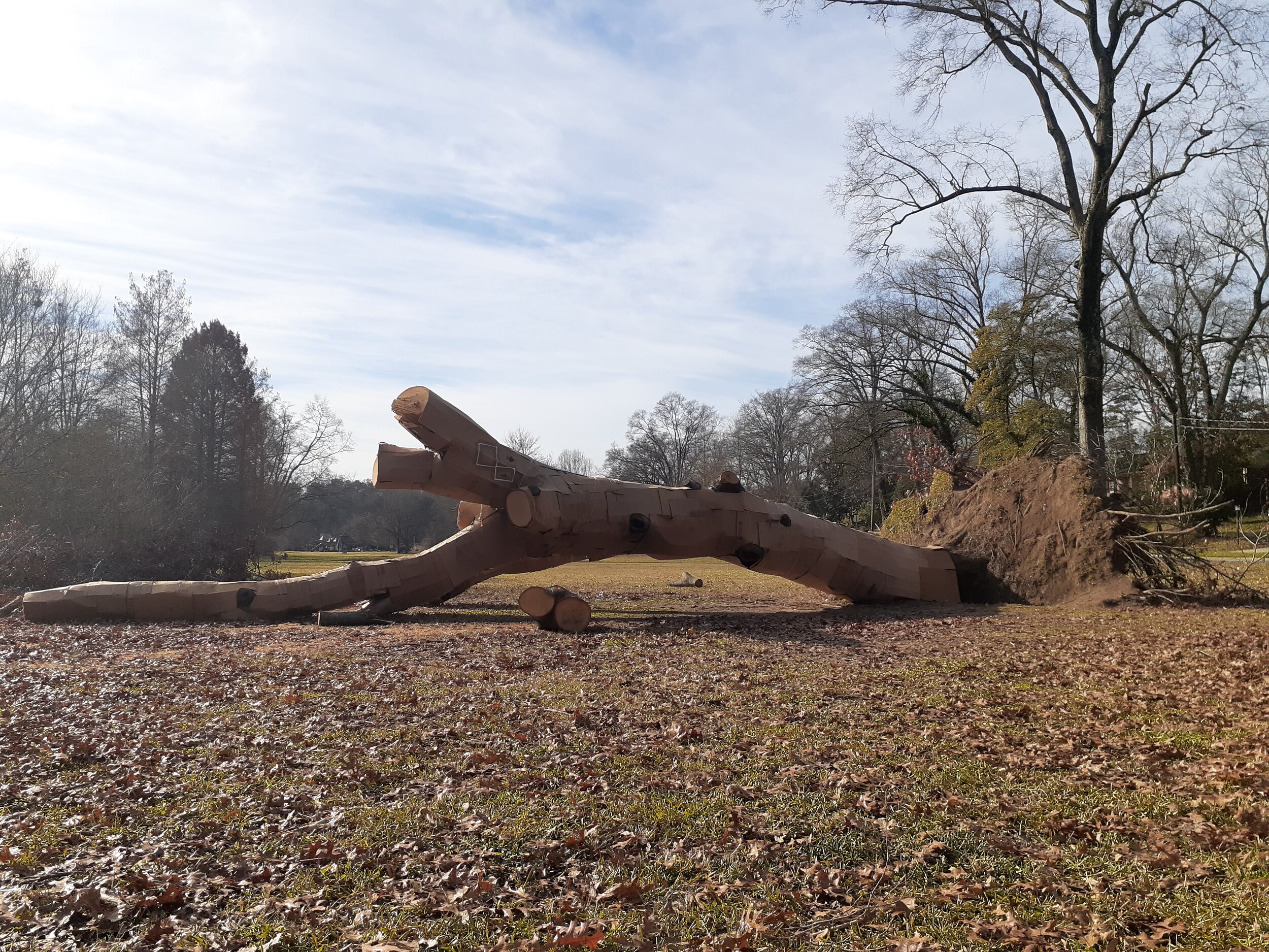 20201223_104122.jpg