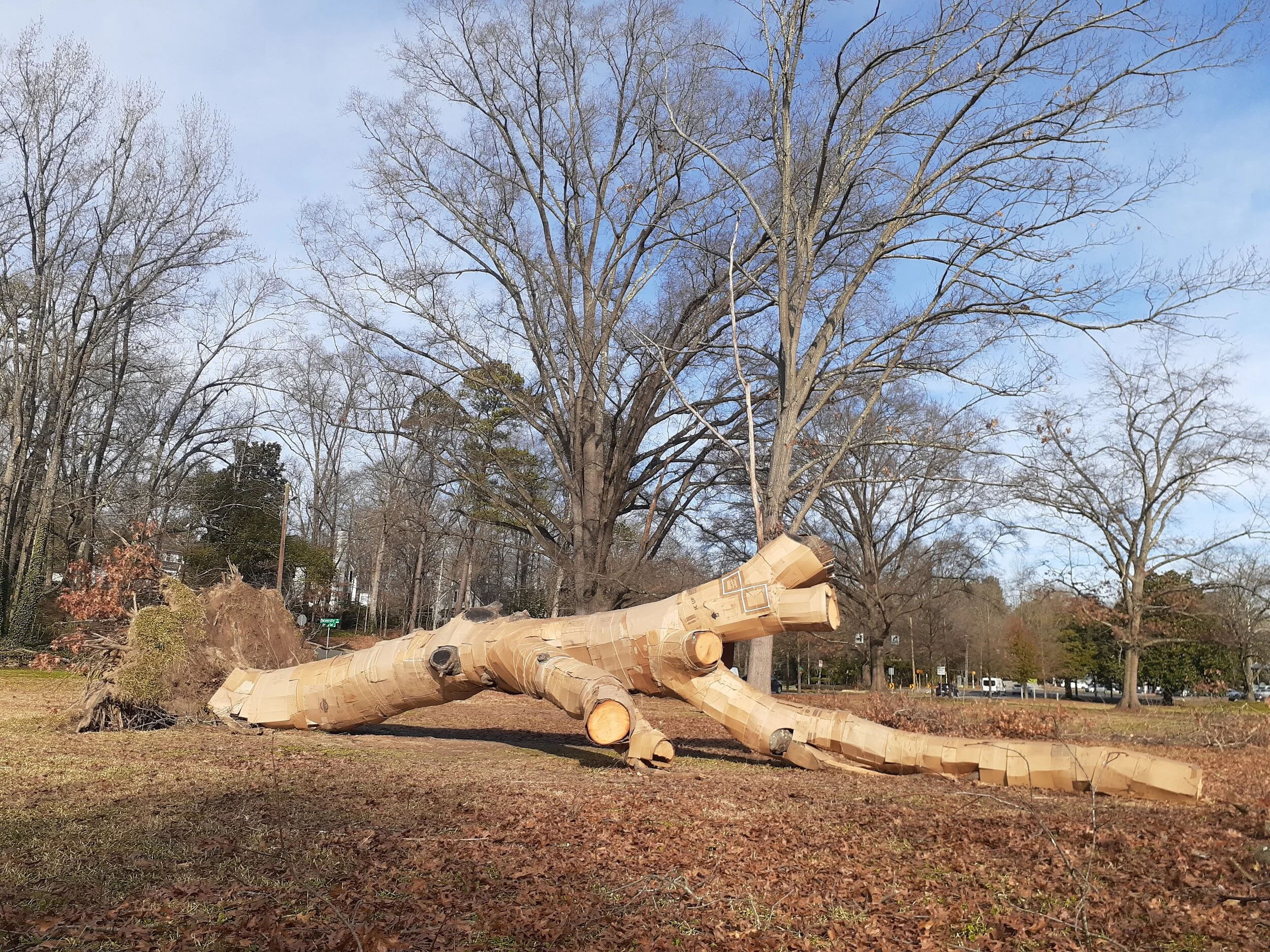 20201223_103835.jpg