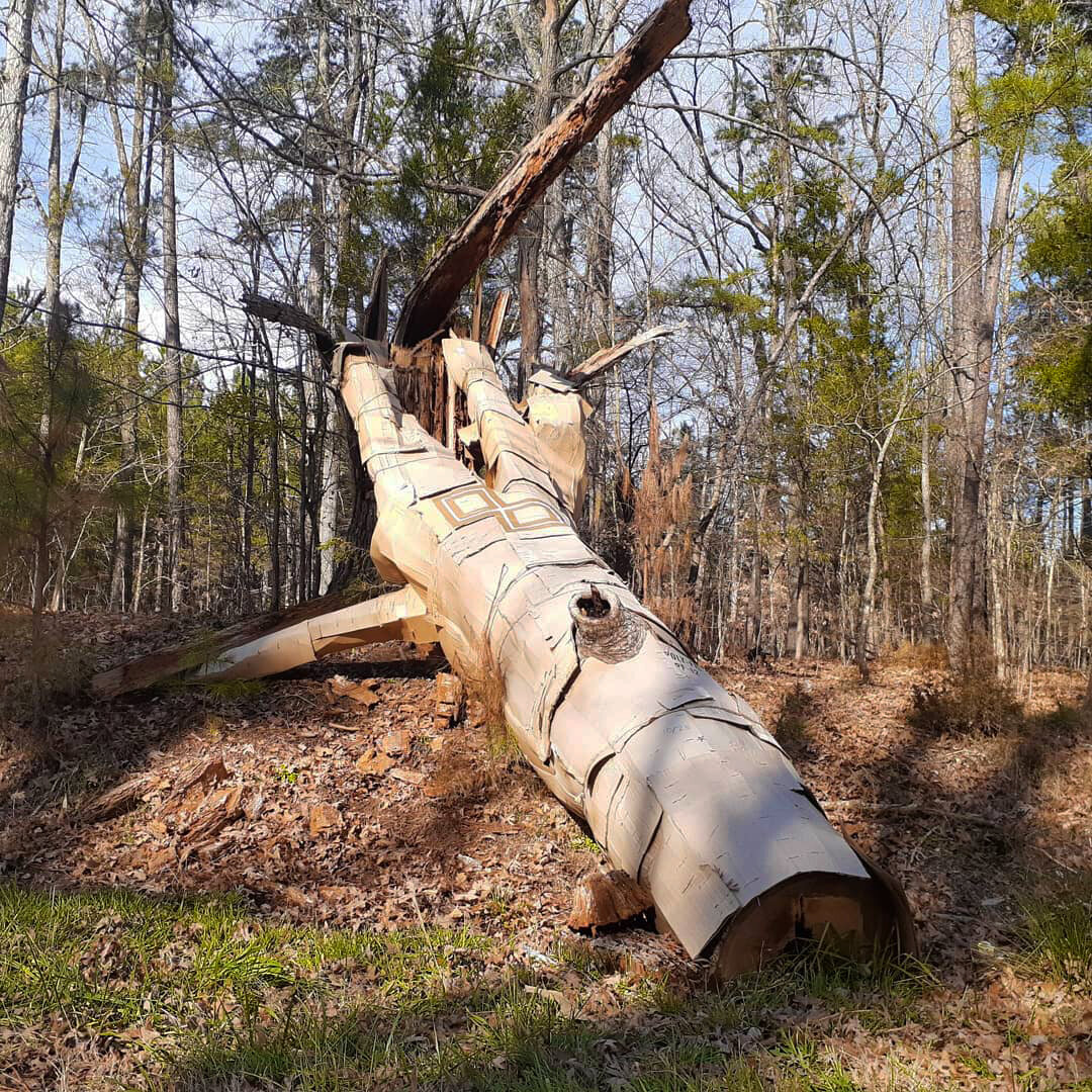 Fallen Tree1.jpg