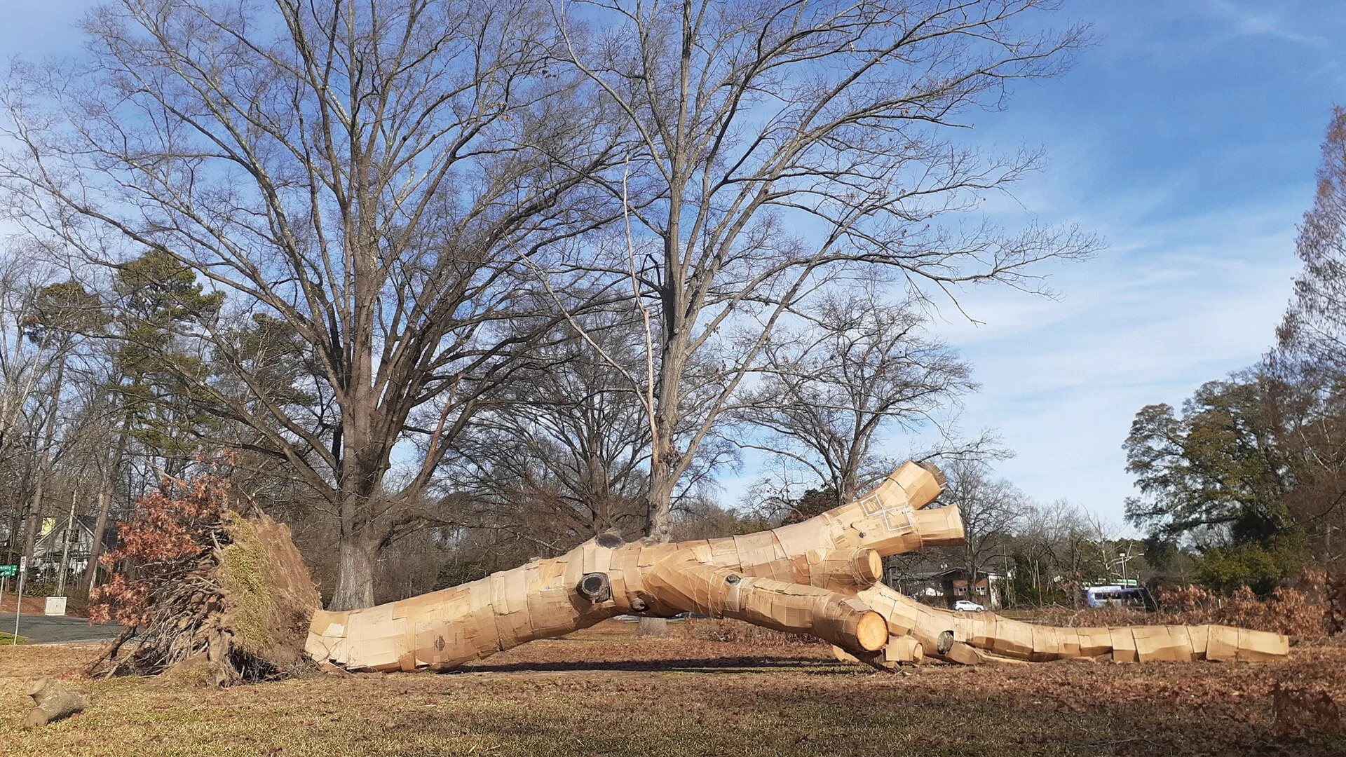 Large fallen tree trunk repurposed as material for a Calvin Brett public art installation