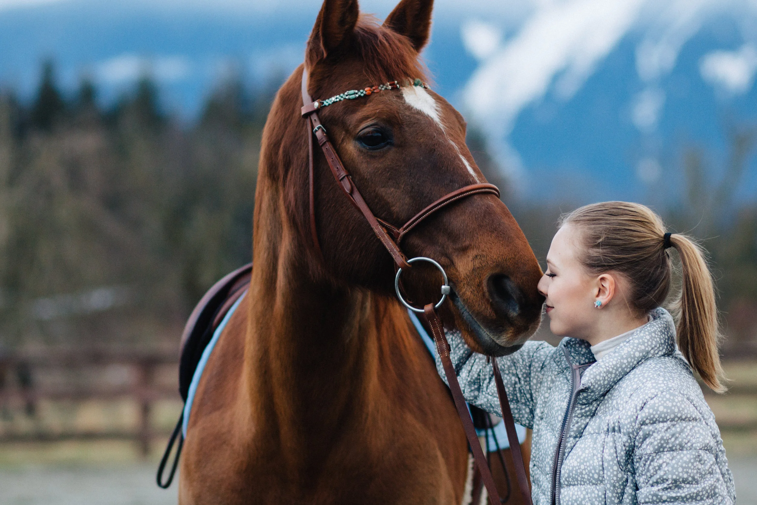 Equestrian - edited-59.jpg