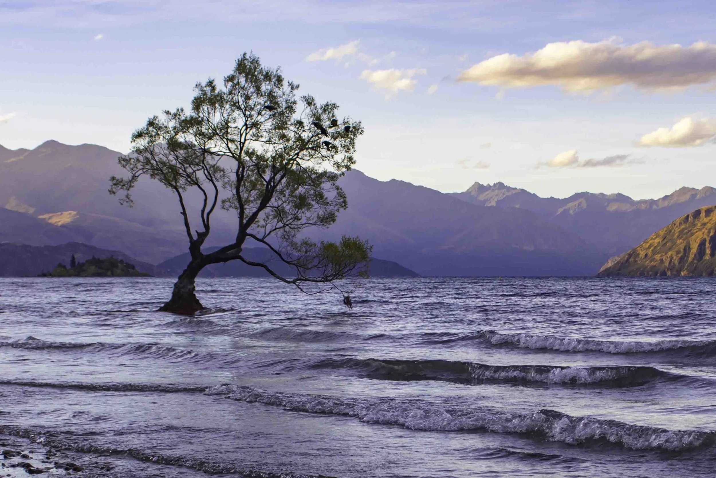 Wanaka, New Zealand