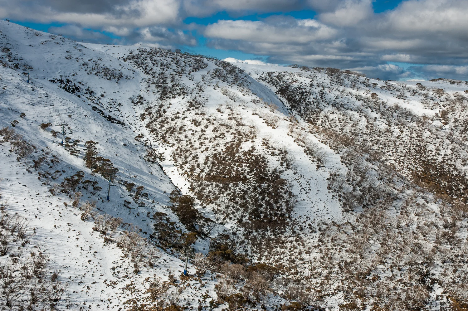July 2006 Mt Hotham 14.jpg