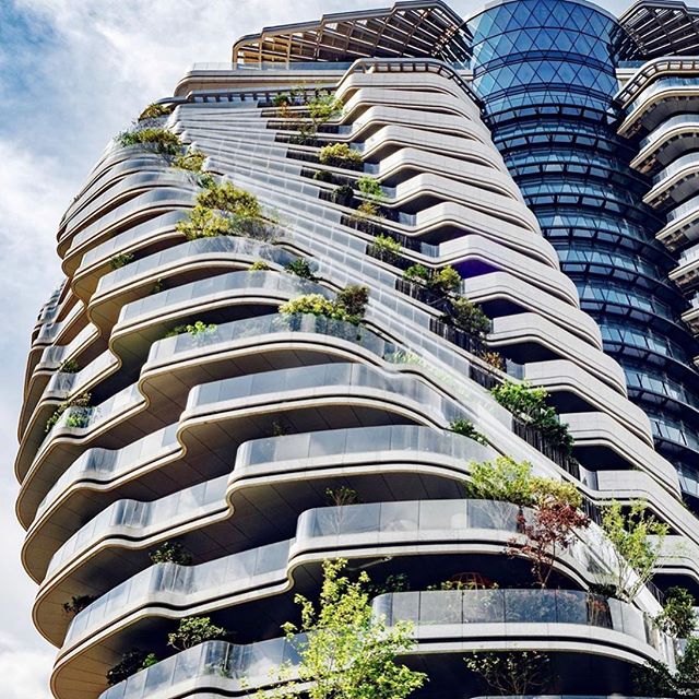 We love the idea of having greenery on the balconies and outdoor spaces of high rises. Brings the building to life!