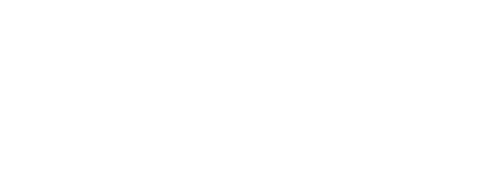 BM_logo_white.png