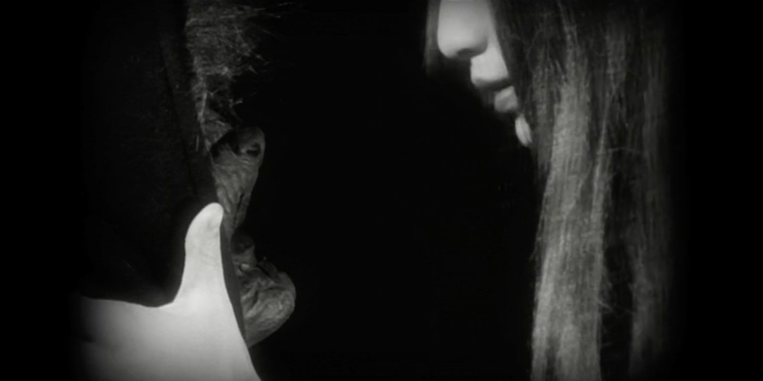 Screen Shot 2017-09-26 at 12.03.37 AM.png