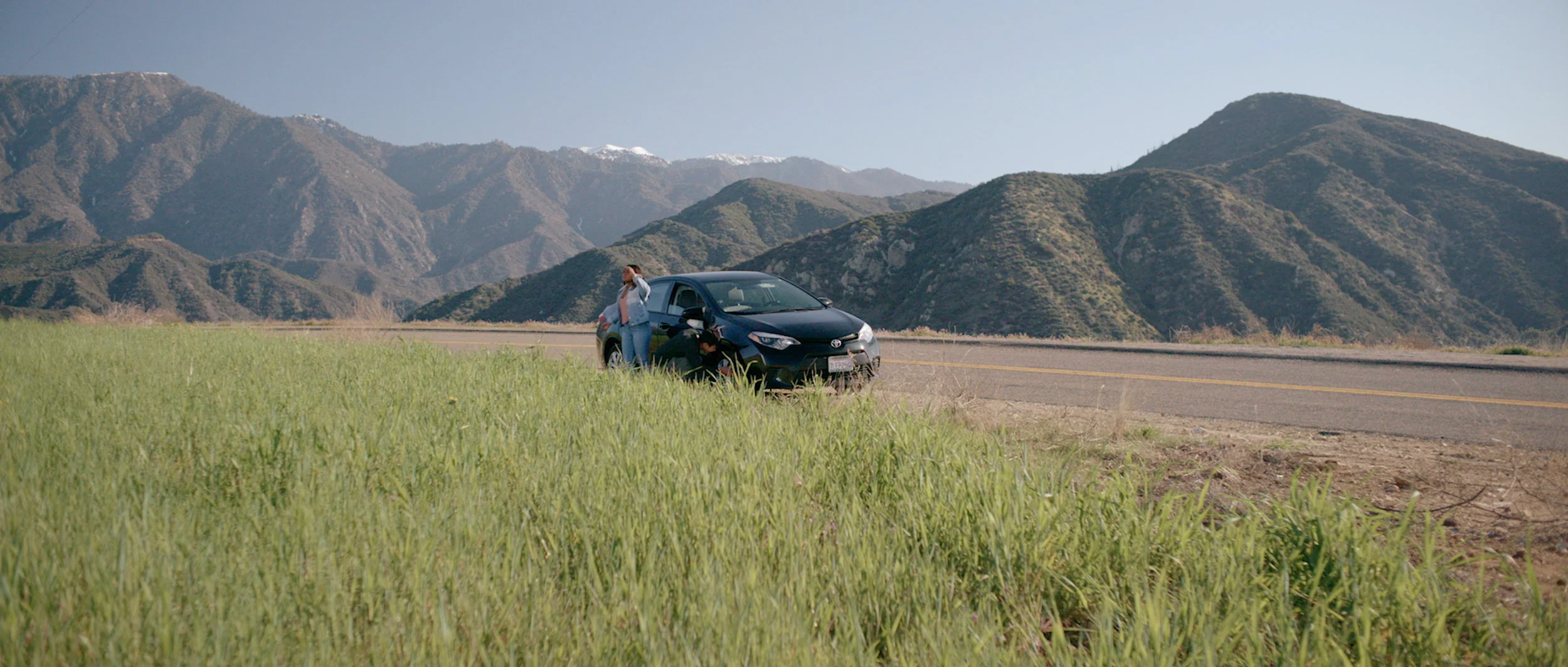 TeamViewer  - Remote Help