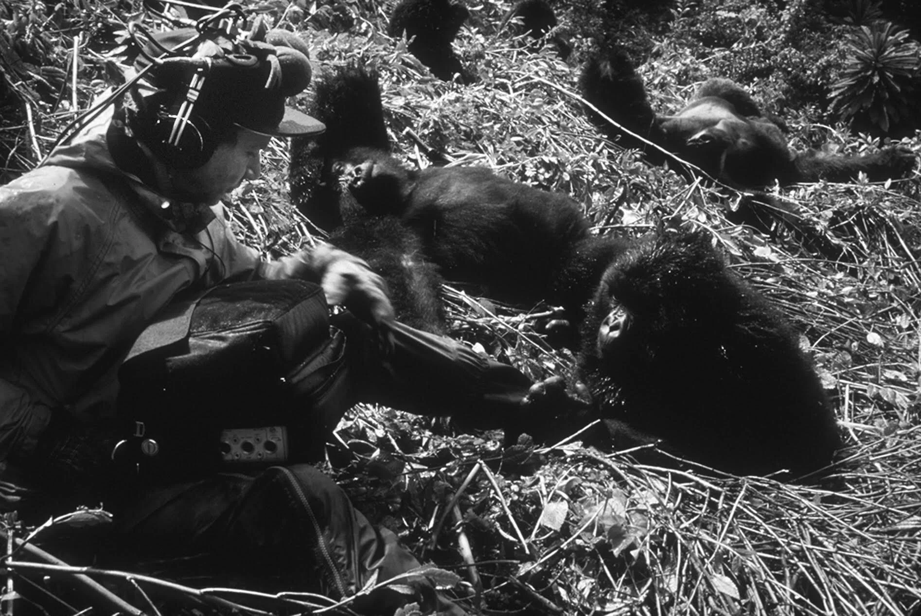  Story: On the night of their wedding anniversary, a bohemian theatre actress and a beatnik inspired writer confront the strife of their relationship, dreams and the city they once loved.    Cast: Briana Walsh, Jordan Potch, Joanna Kay, Edward Highto