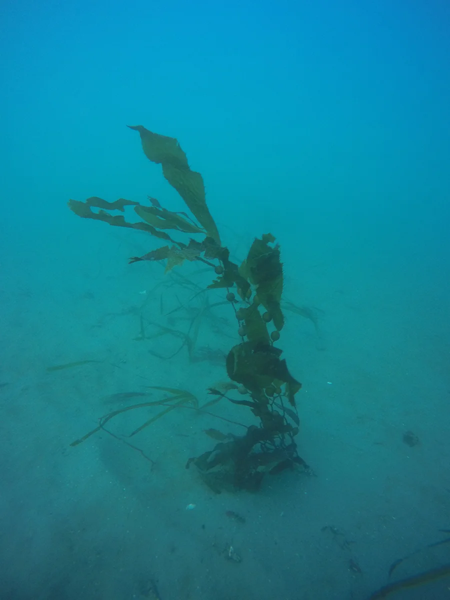 GOPR1245-sm.jpg