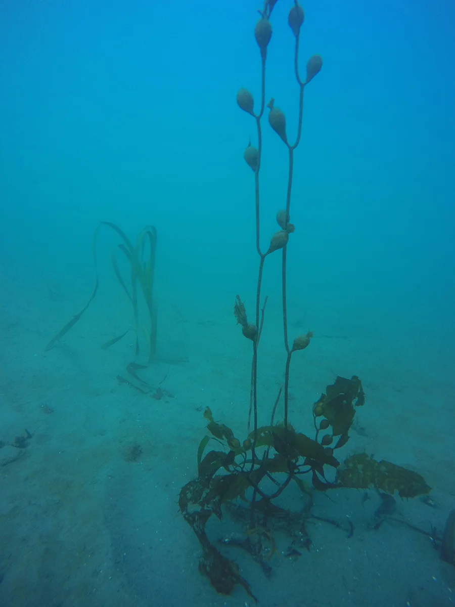 GOPR1249-sm.jpg
