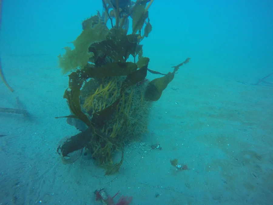 GOPR1256-sm.jpg