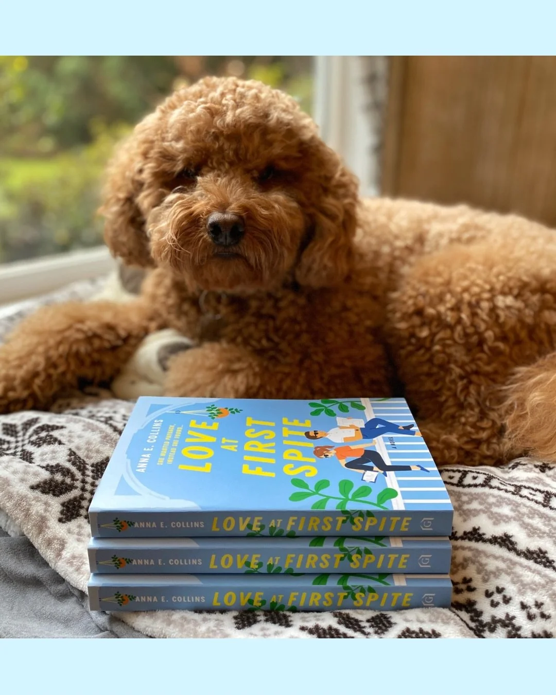 Remember when Archie was so smoll and adorbs (and had a great taste in books)? Well now this distinguished gentleman is 7 years old! 🥳

#dogbirthdays 
#goldendoodle 
#womansbestfriend