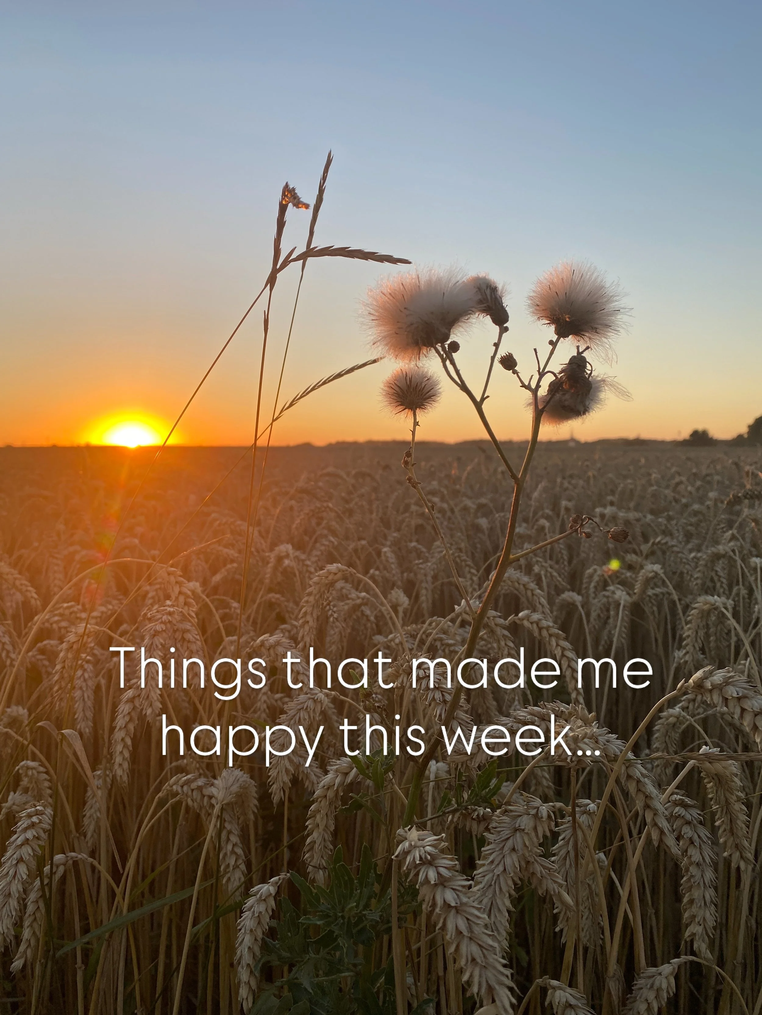 ❤️

#happiness
#littlethingsinlife 
#gratitudepractice
