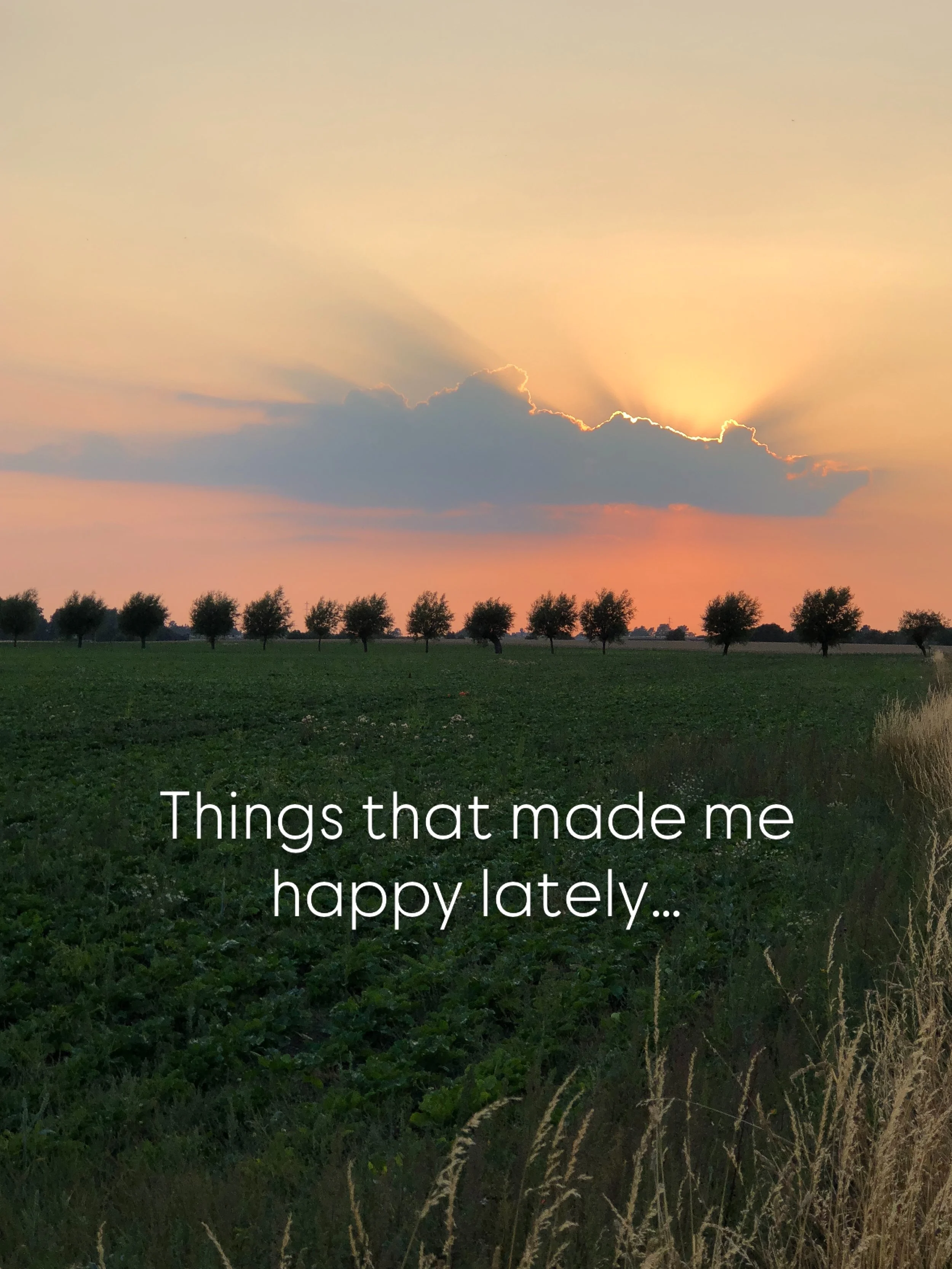 ❤️

#happiness 
#littlethingsinlife 
#gratitudepractice