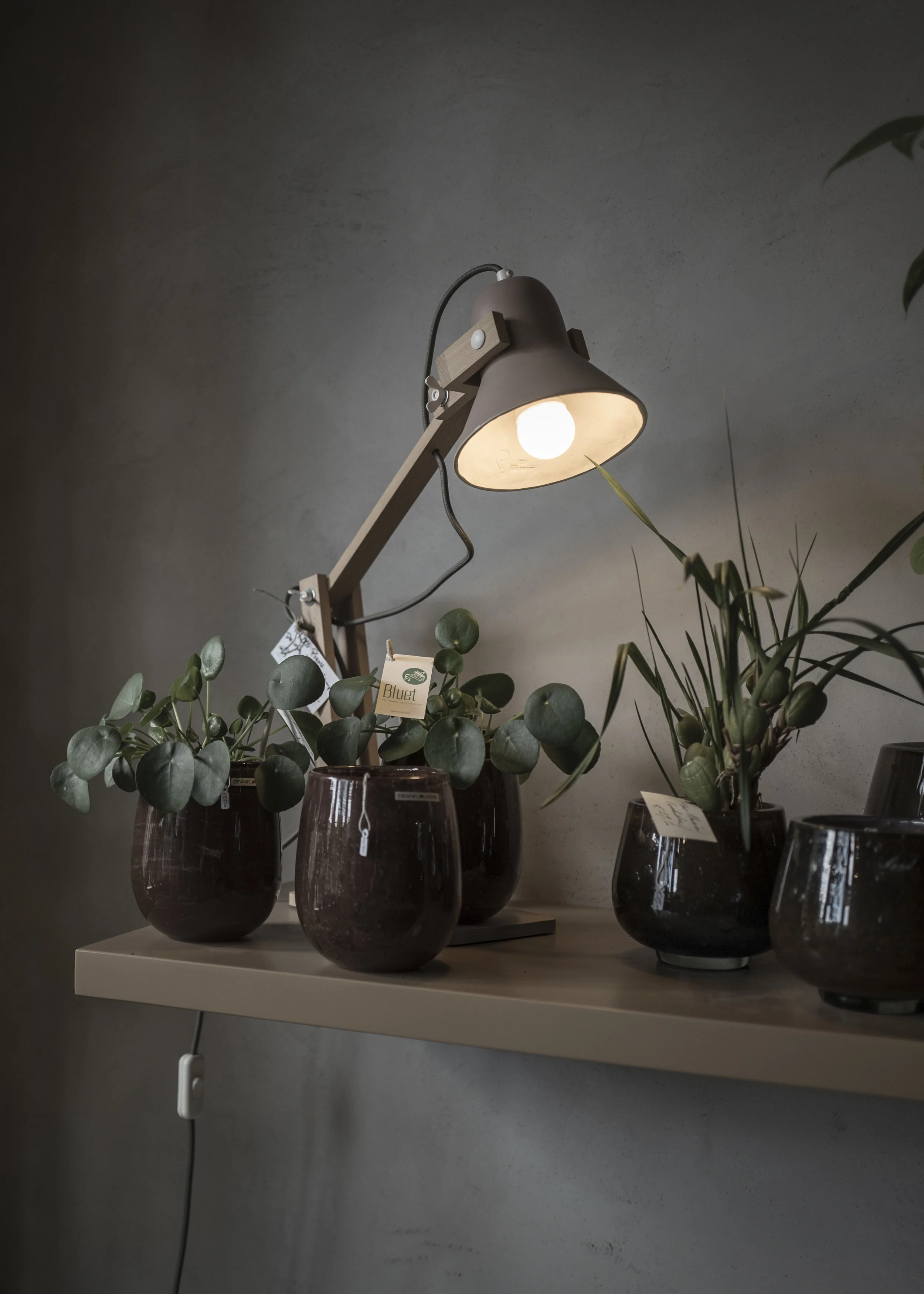 Ghent uprights 17.JPG