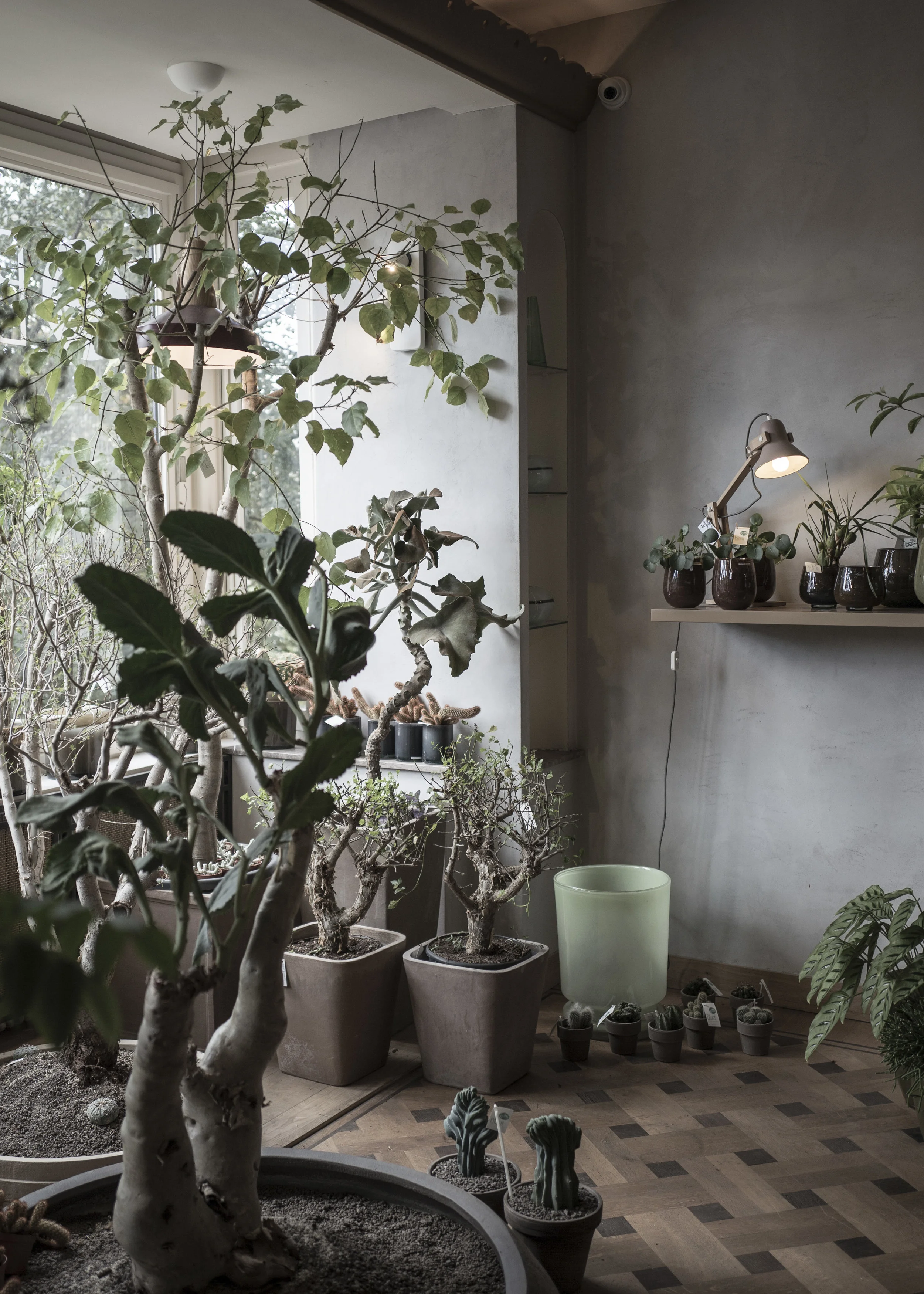 Ghent uprights 15.JPG