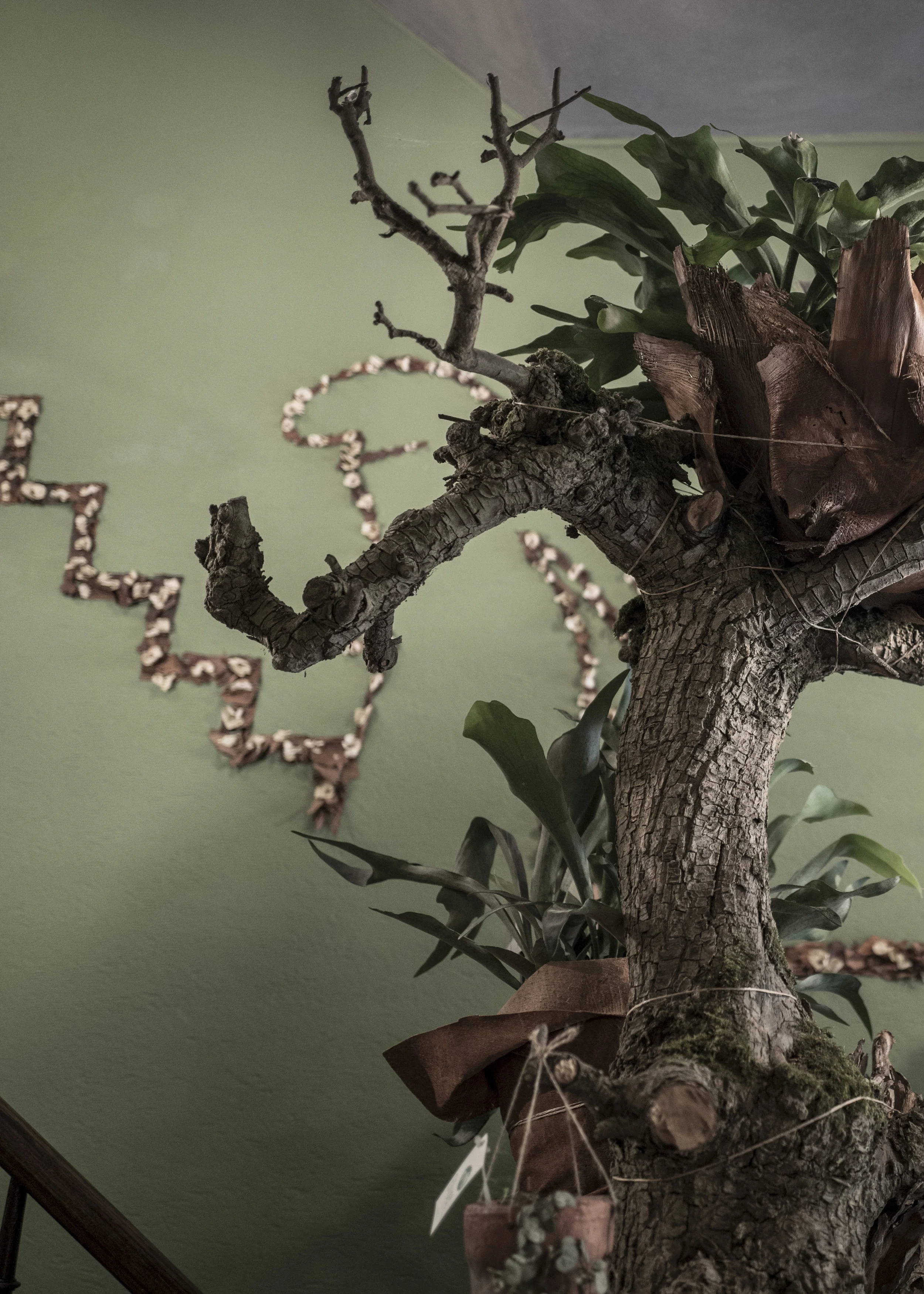 Ghent uprights 12.JPG