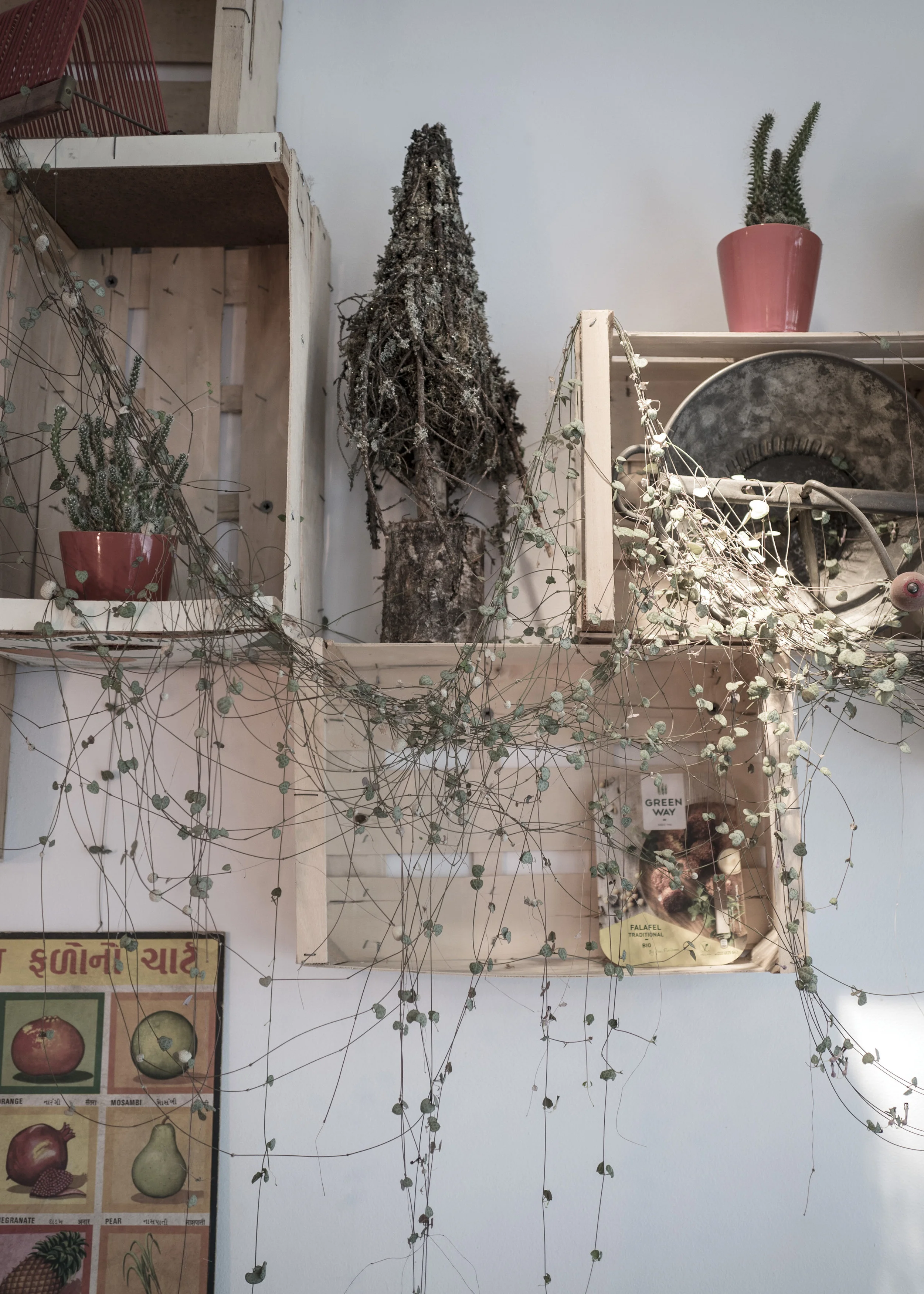 Ghent uprights 02.JPG