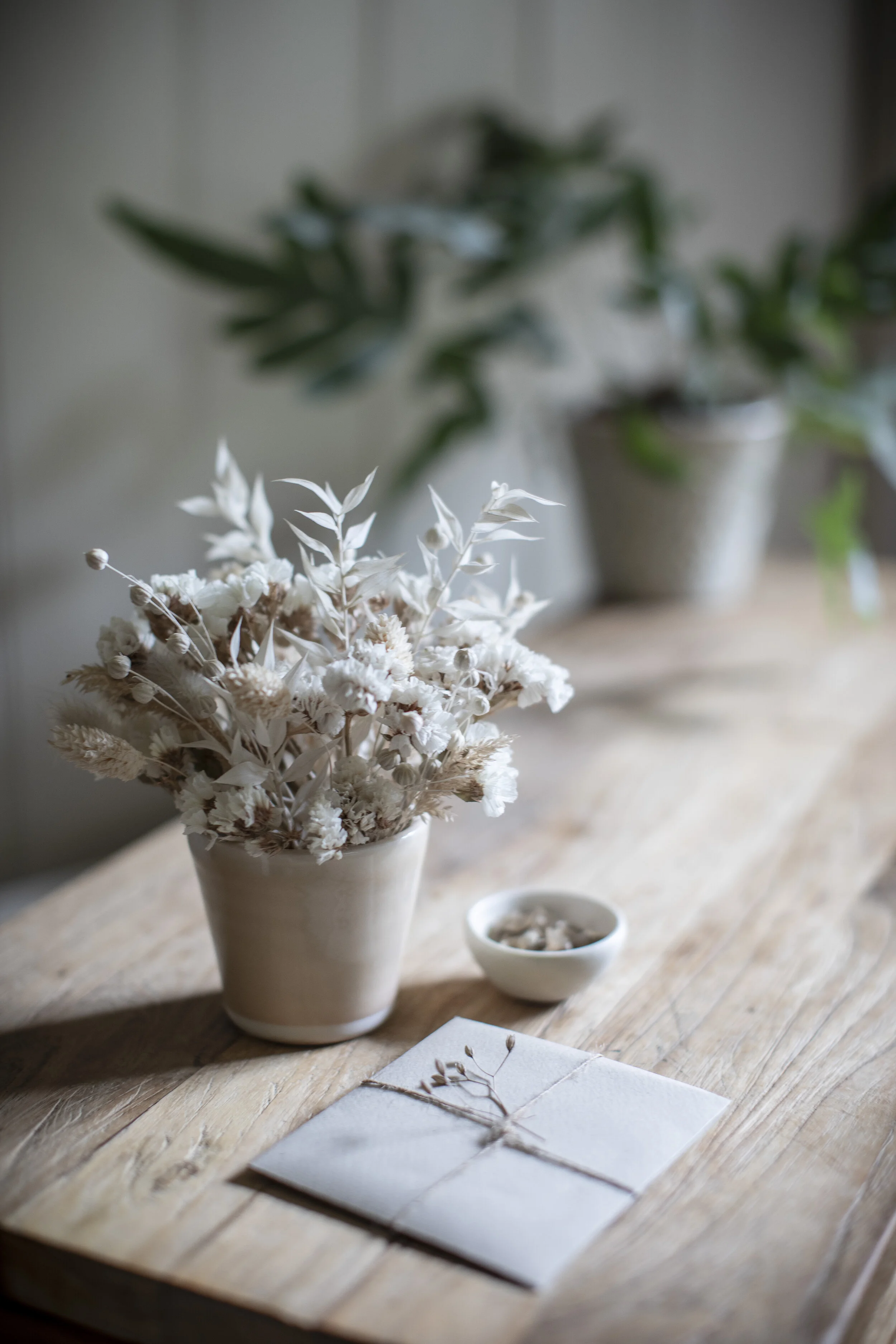 Growing Gift Set - £36 - Paper Thin Moon