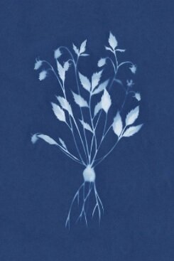 Wild Strawberry Print - Rowan MacGregor - £75 - The Shop Floor Project