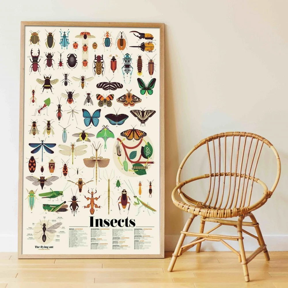 Poppik Discovery Sticker Poster - £17.00 - Acorn and Pip