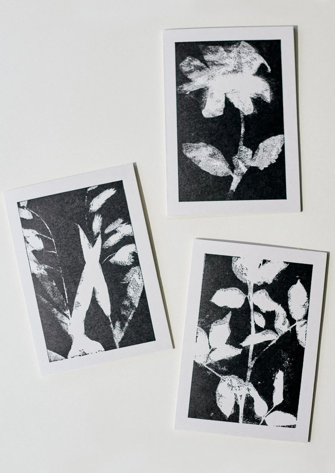 Lucy Auge Shadow Card Set - £12 - Toast