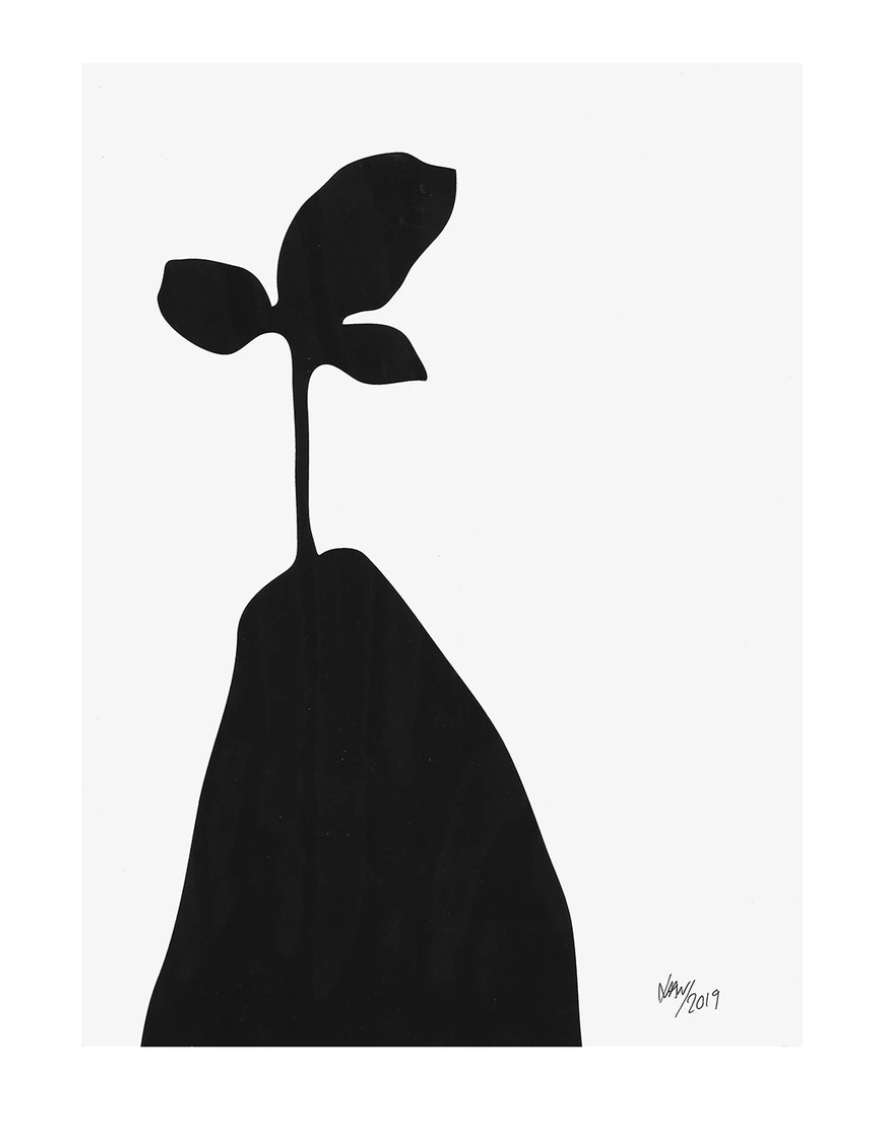 Mountain Plant Print - £24 - Obiko at Reste 