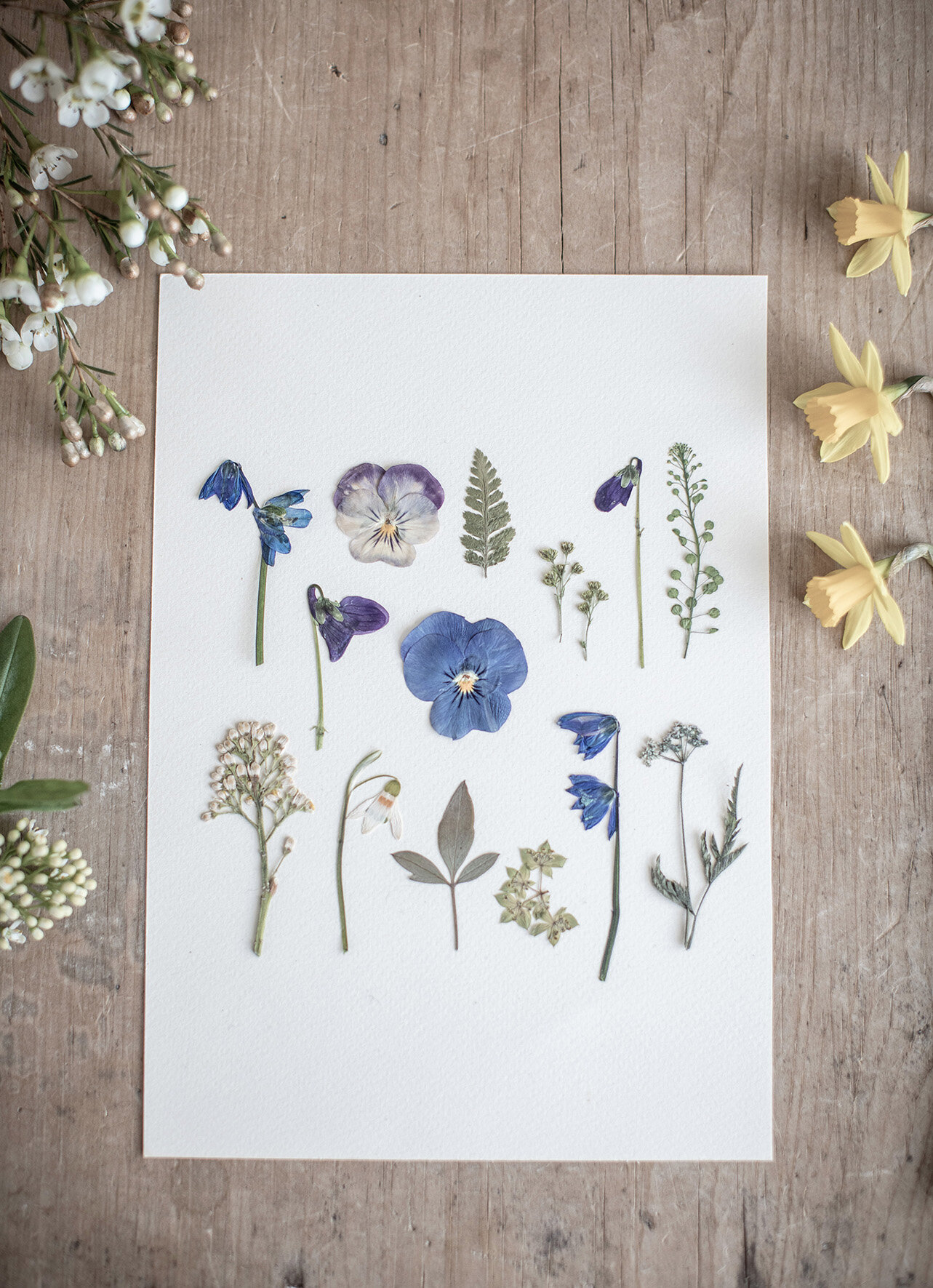 Pressing Flowers & Dried Flower Art - Try Something New Every Month