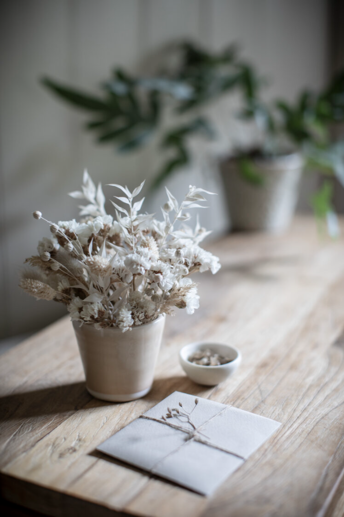 Growing Gift Set - £36 - Paper Thin Moon