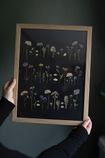 Pressed Flower Artwork - £165 - Paper Thin Moon