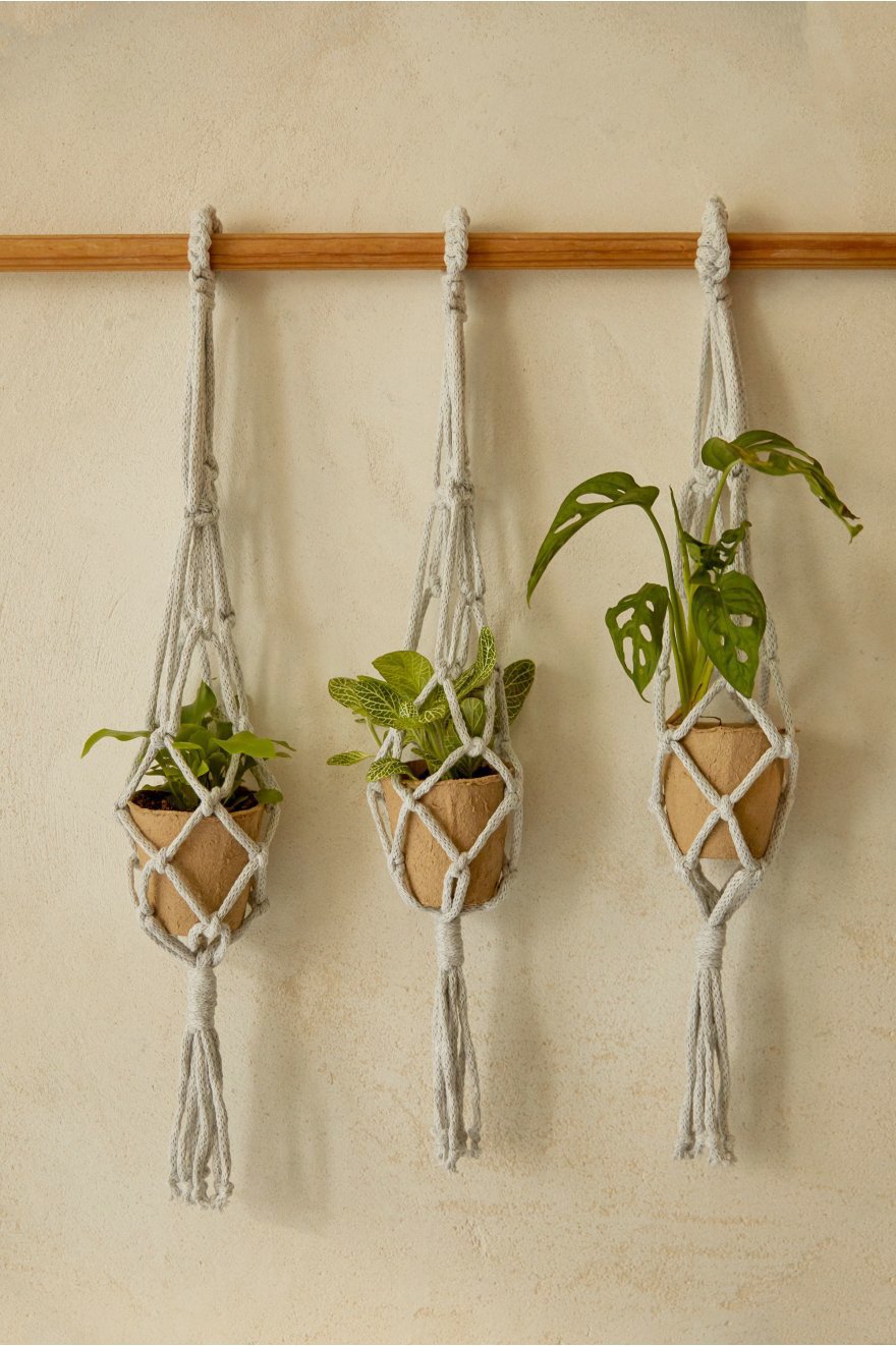 Exhale Plant Hanger Macrame Kit - £20 - DMC