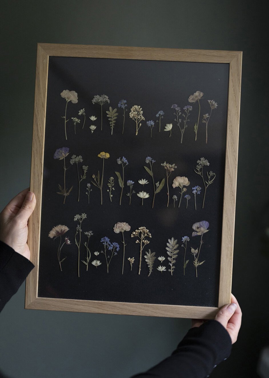 Original Pressed Flower Artwork - £165 - Paper Thin Moon