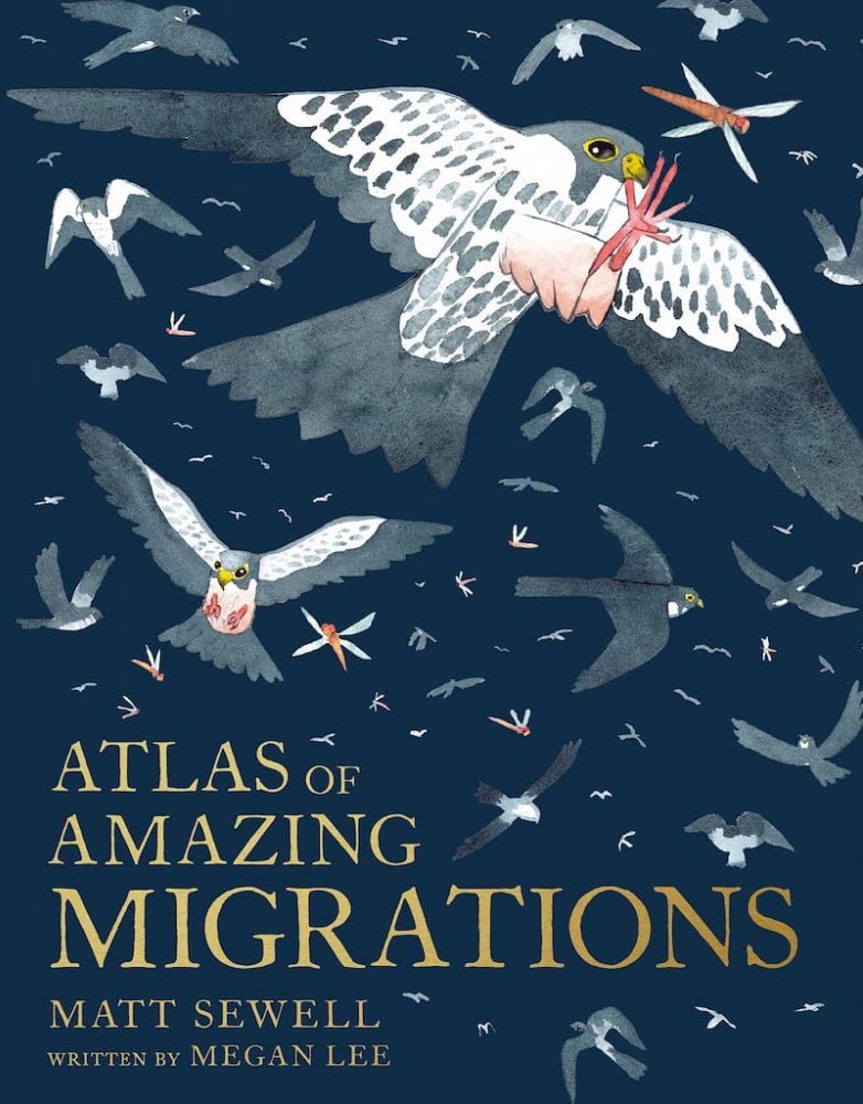 Atlas of Amazing Migrations - £16.99 - Molly Meg