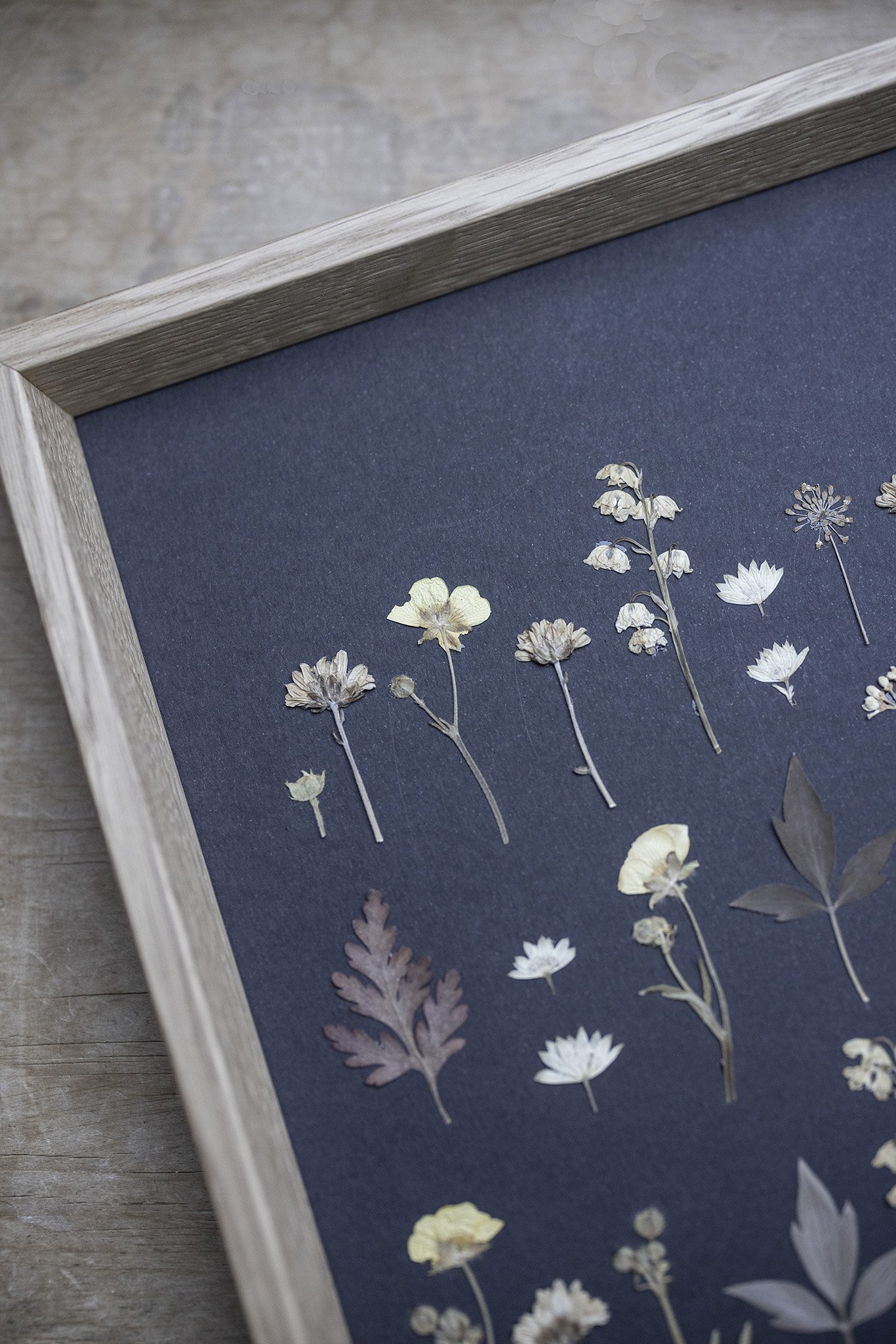 Pressed-flower-art-3-paper-thin-moon.jpg