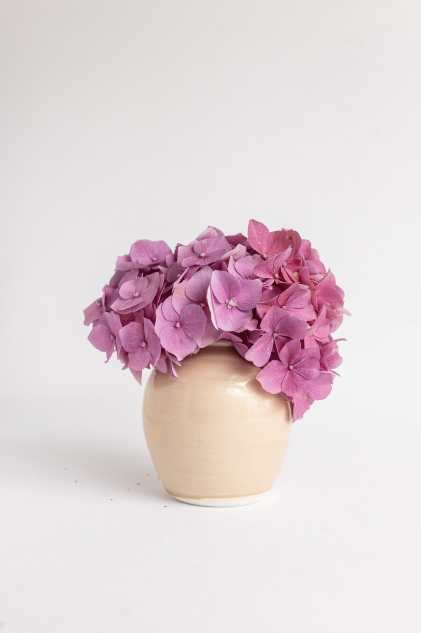 Porcelain Coral Vase - £34 - Paper Thin Moon