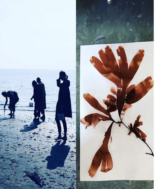 Seaweed Pressing Workshop - £85 - Molesworth &amp; Bird