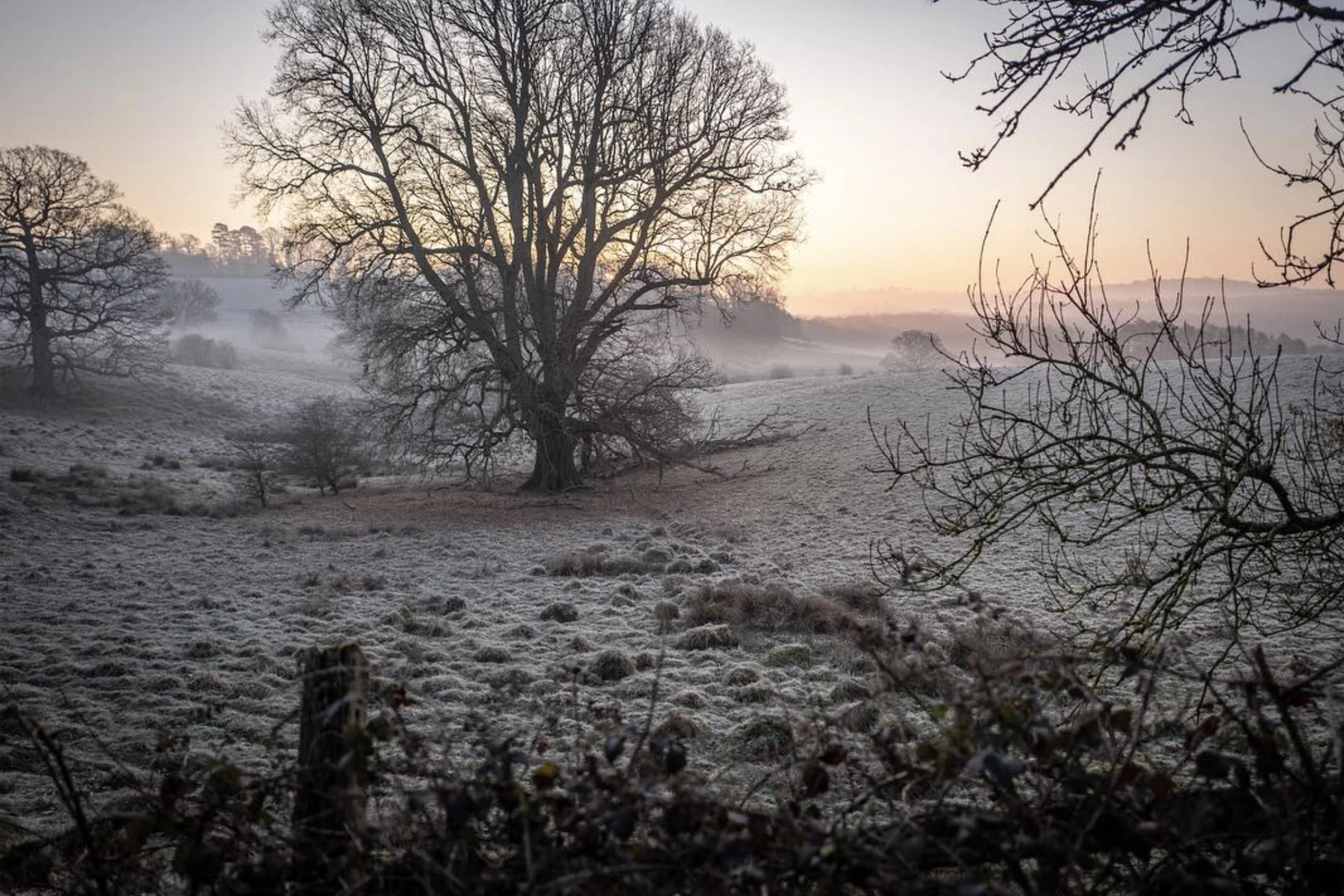 The Weekend Mixtape - Winter