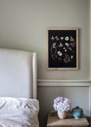 Framed pressed flower print - Paper Thin Moon £65