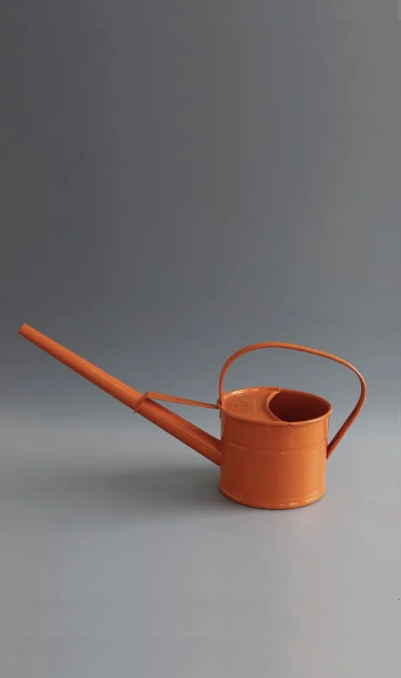 Indoor watering can - Labour and Wait £30