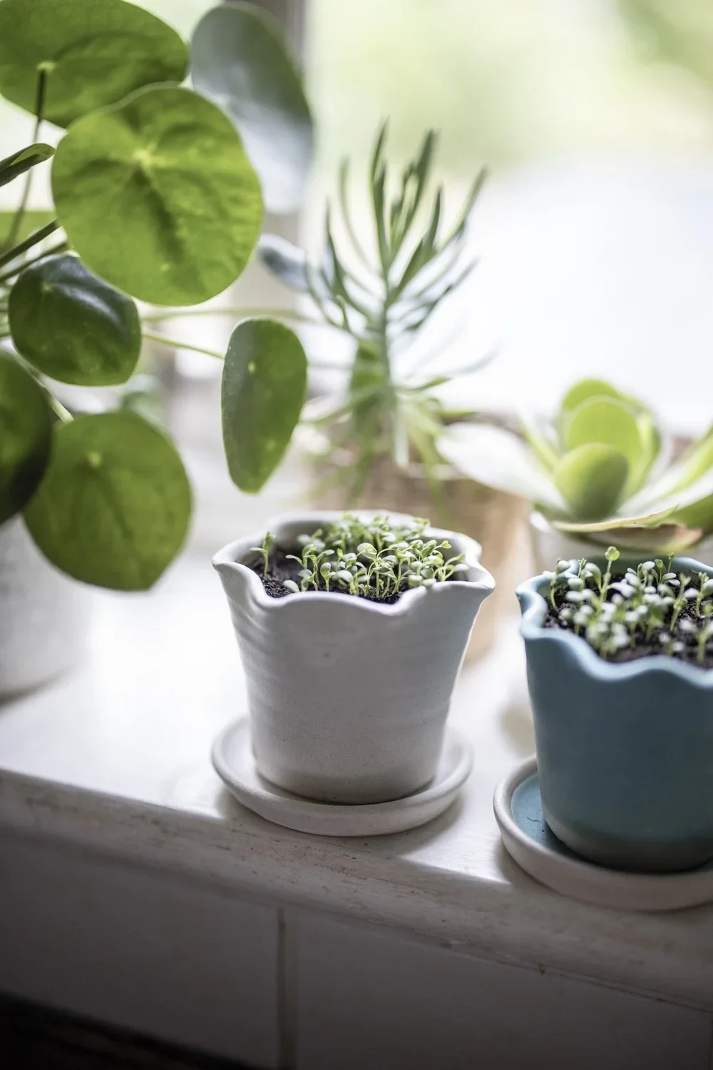 Small Lucy Flower Pot - £26