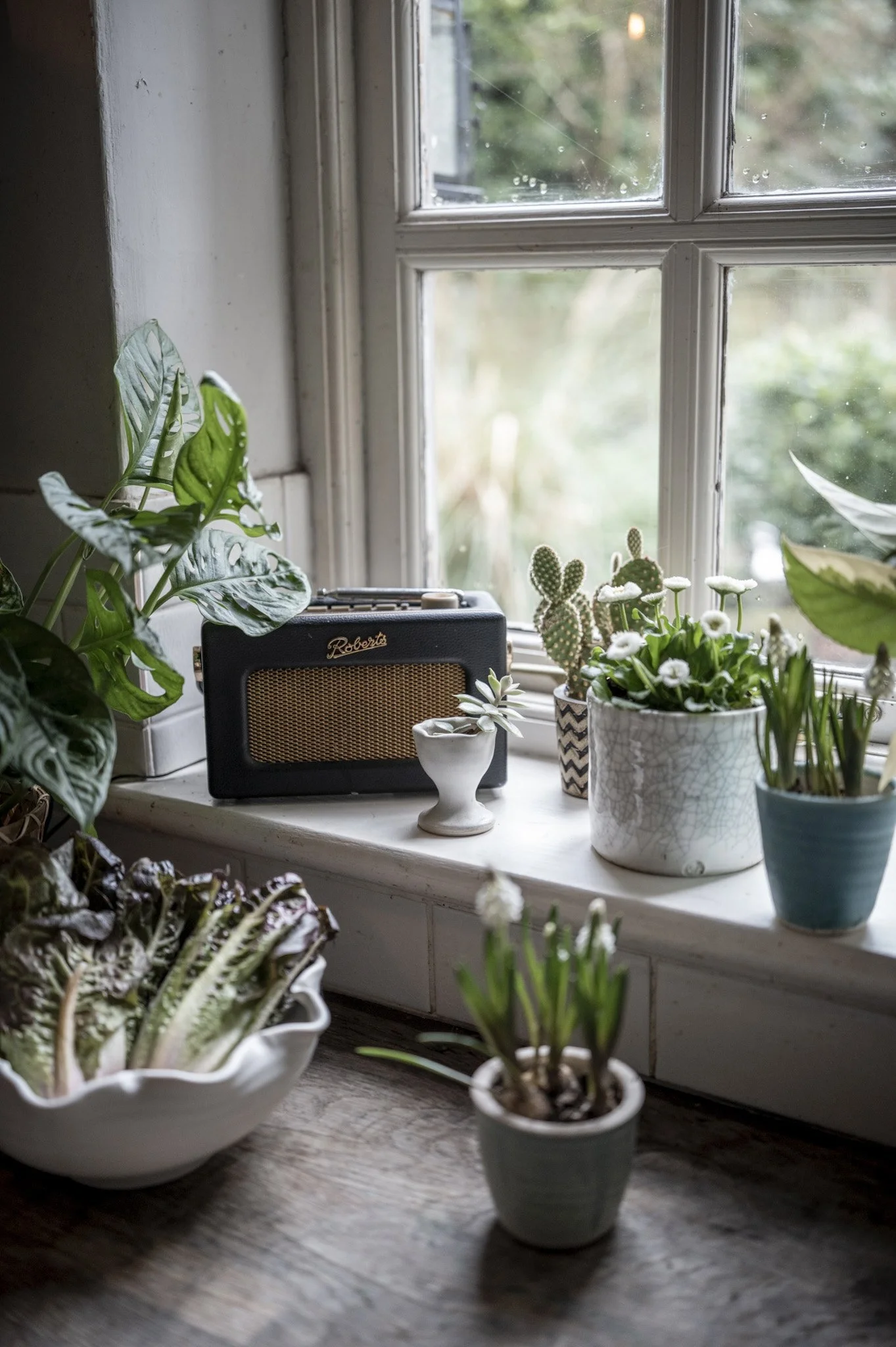 Portland Planter - £24