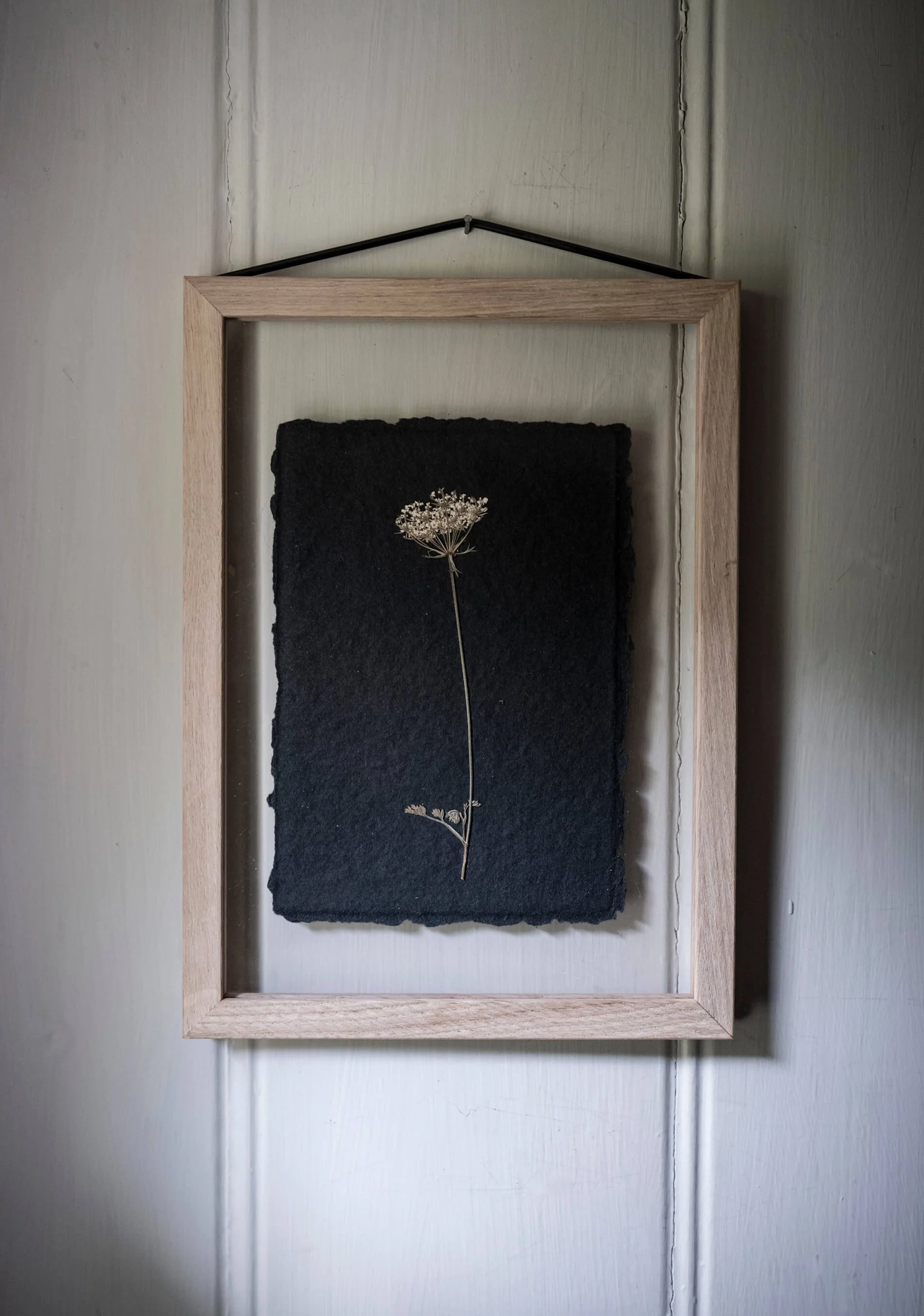 Wild-carrot-III-pressed-flower-artwork-1.jpg