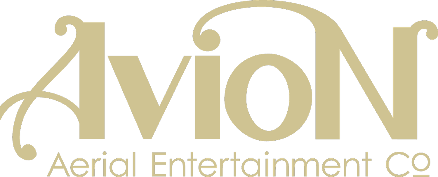 Avion Aerial Entertainment Company