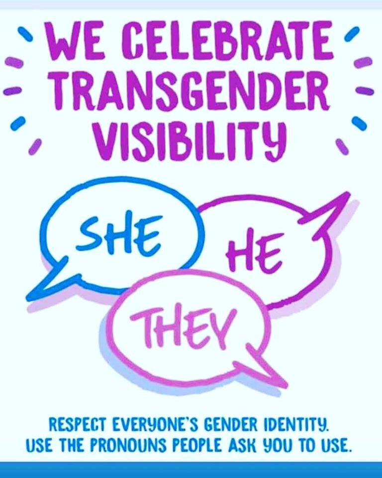 Mar 31 TDOV Trans Day of Visibility — Rainbows in Schools