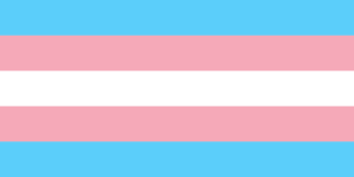 Trans flag. (Copy)