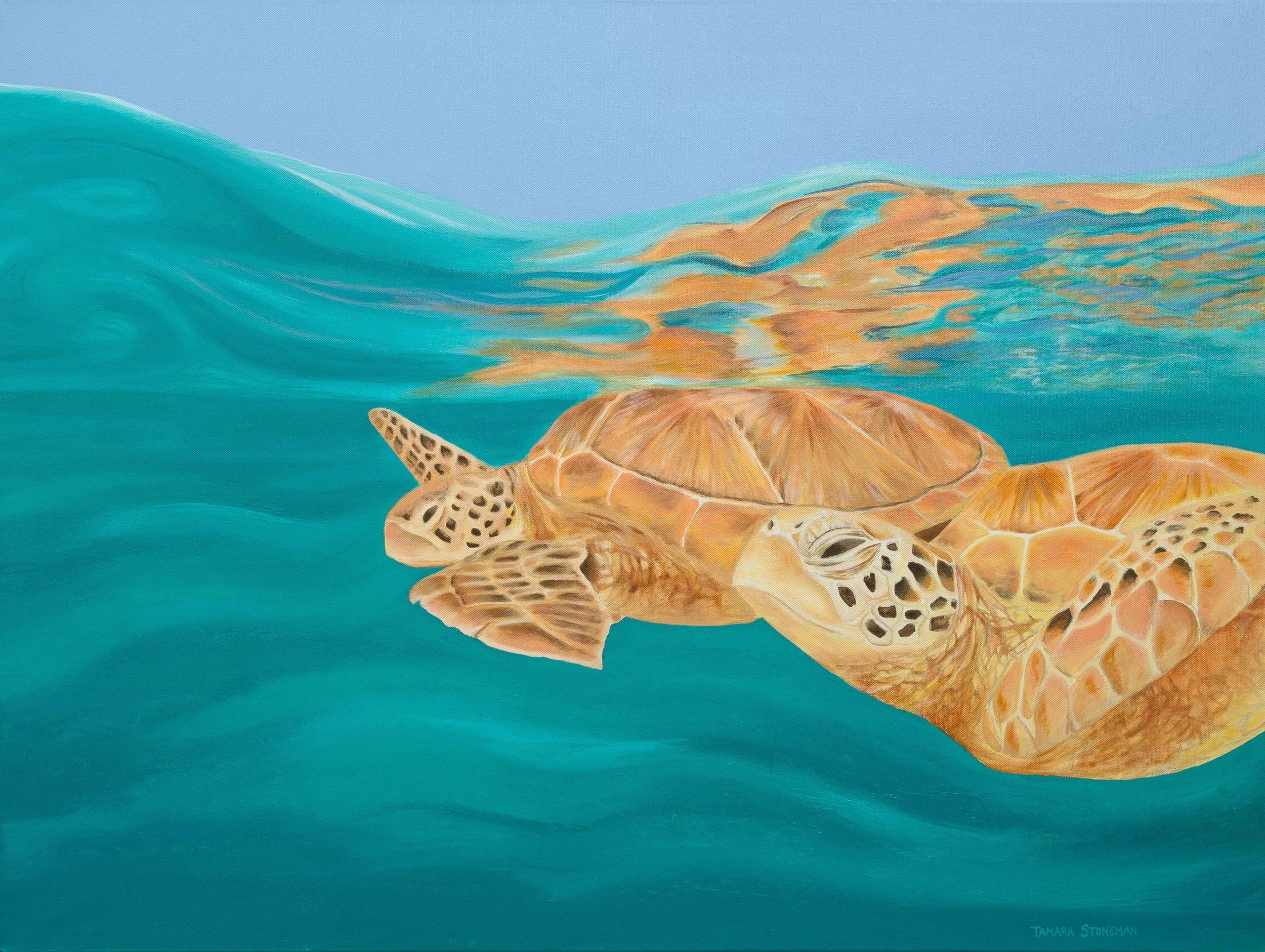 turtles small.jpg