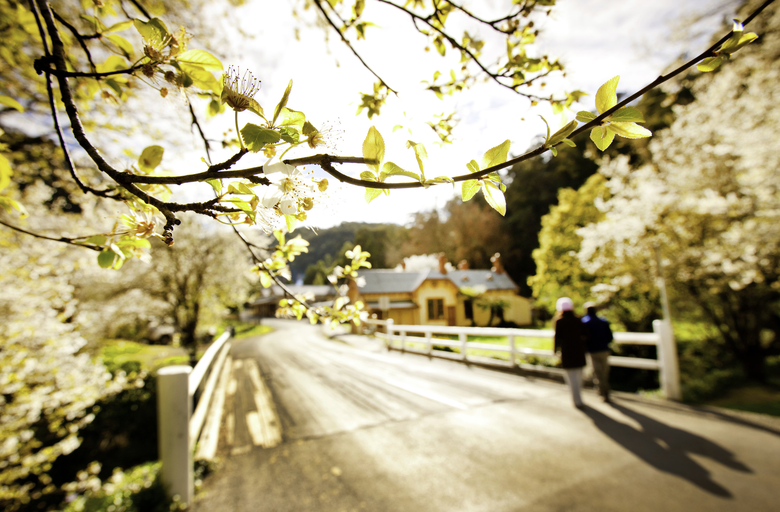 Walhalla in spring.jpg