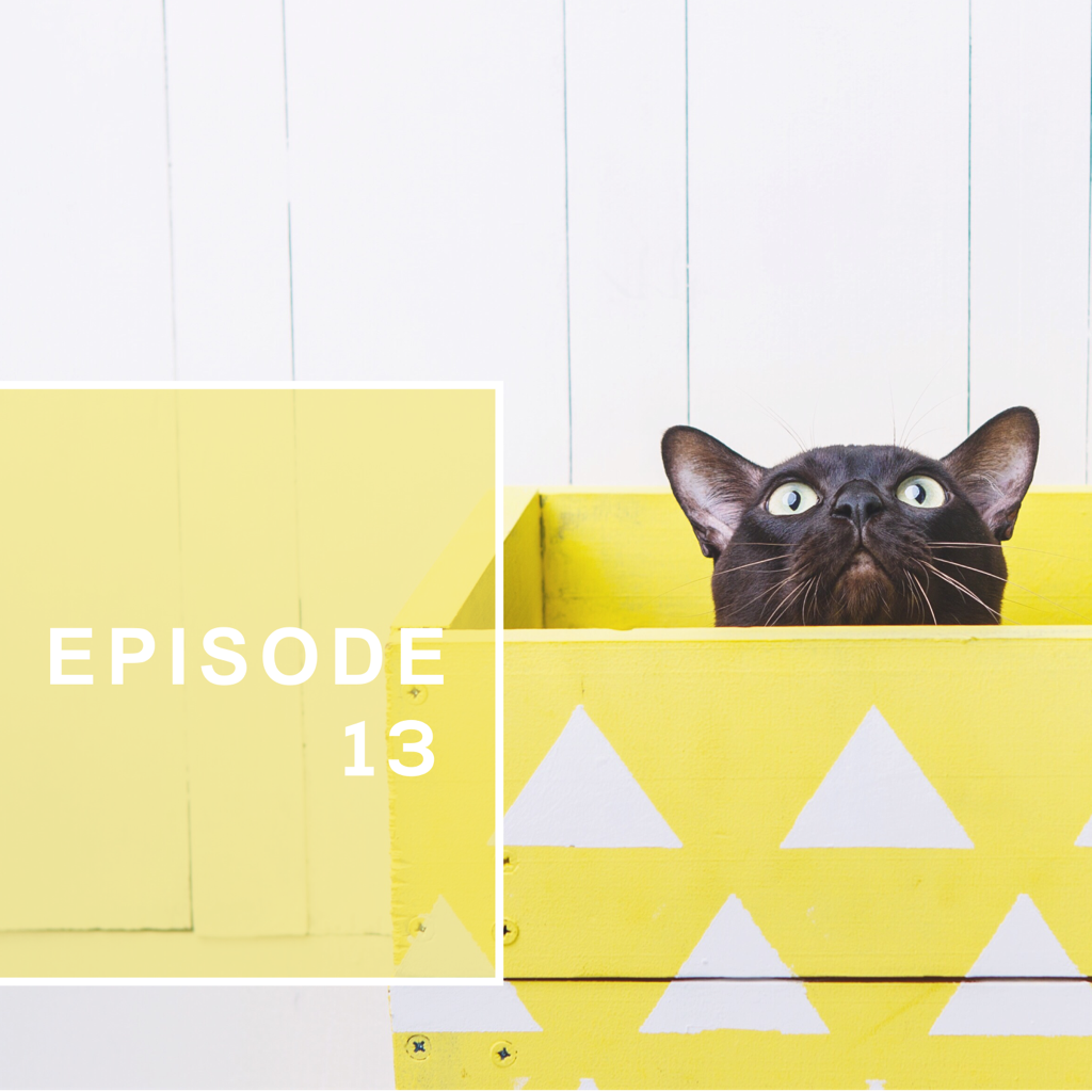 Episode 13: No seas metiche/All up in the Kool-Aid